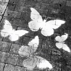 Luvsic（纯音乐）