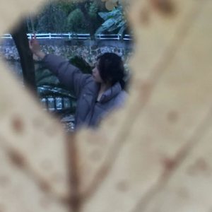 我心中的女孩（伴奏）