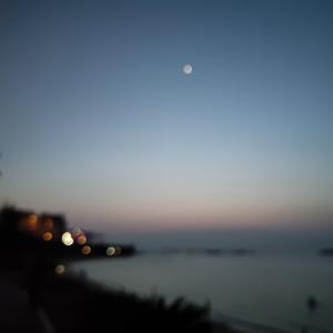 步履不停（翻自 ゴンチチ）