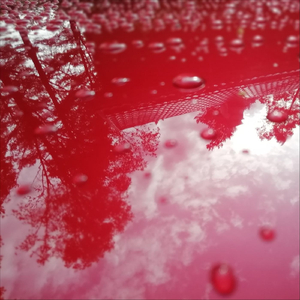 Thicket Island (Duo Version)