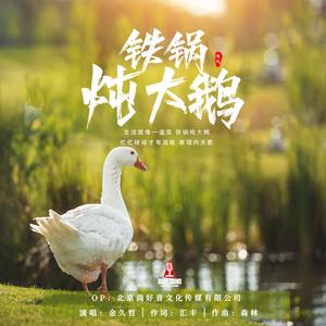 铁锅炖大鹅 (DJ阿远版)