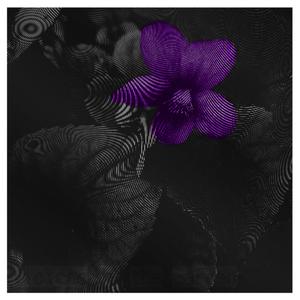 Violets in the Garden