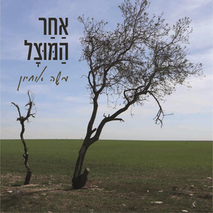 המזג האומנותי