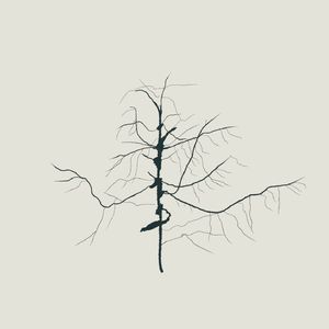 我们在黑夜里互通电波