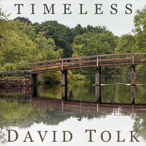 Timeless (feat. Steven Sharp Nelson)