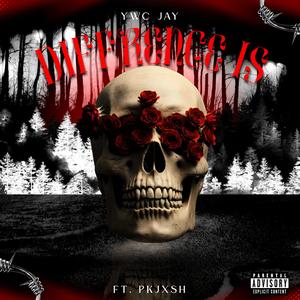 diffrence is (feat. pkjxsh!)