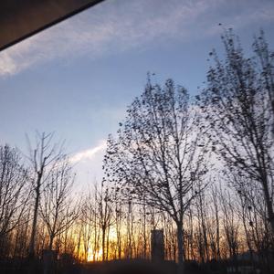 我的姑娘 她在远方（cover 高鱼）（翻自 隔壁老樊）