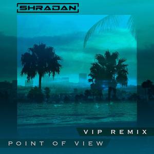 Point Of View (VIP Remix)
