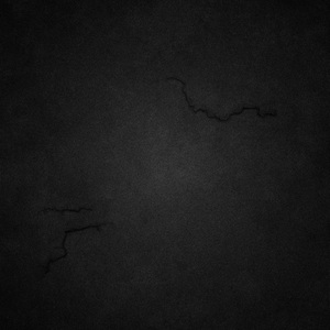 Duck!（北京烤鸭）