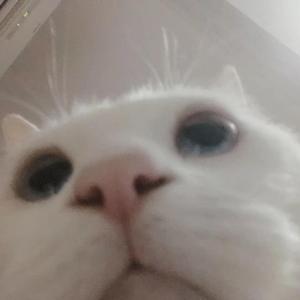 想说