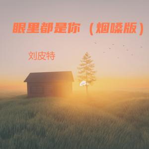 眼里都是你（烟嗓版）