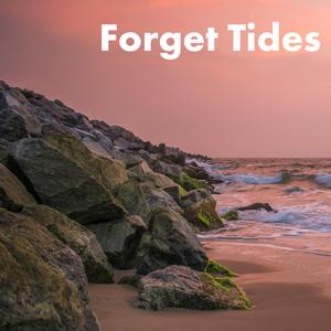 Forget Tides