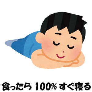 食ったら100%すぐ寝る
