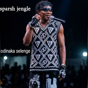 Odinaka Selenge
