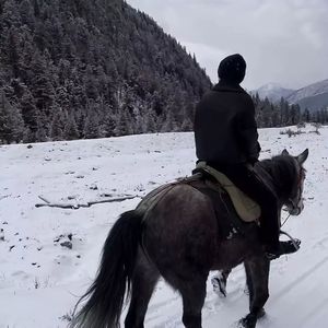 斜阳入室