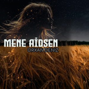 Mene Aidsen