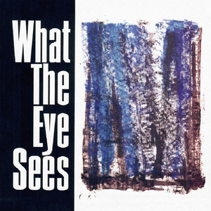 What the Eye Sees