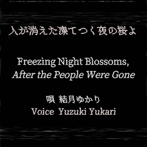 人が消えた凍てつく夜の桜よ