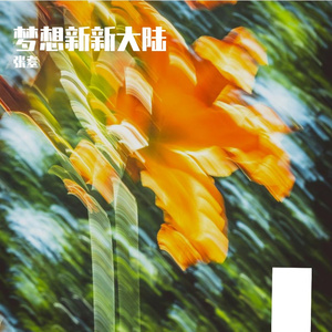 梦想新大陆