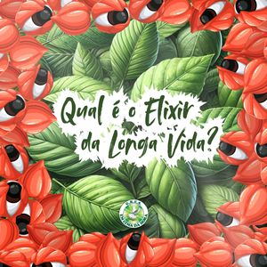 Qual É o Elixir da Longa Vida?