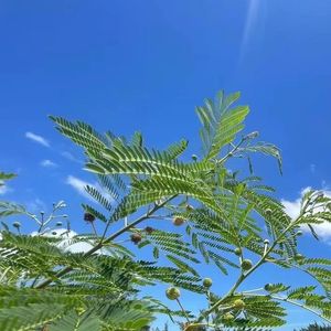 谁愿听我讲讲 伴奏