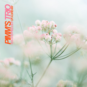 You Stepped Out Of A Dream