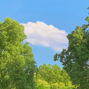 长流