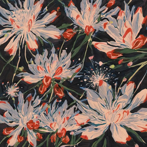 我是小偷(专门盗音频发)