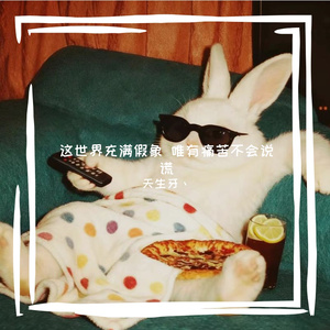 这世界充满假象 唯有痛苦不会说谎