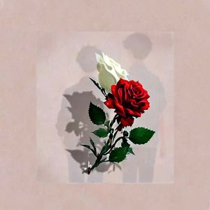 我们 你们 如屿得水