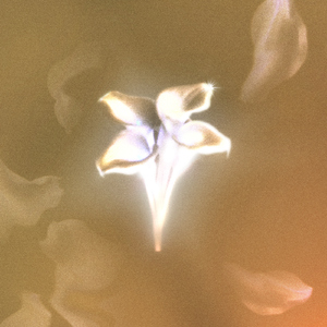 NEXO 05. Ya no estoy triste (feat. Dollar Selmouni)