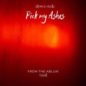 Pick My Ashes (Slowed & Reverb)