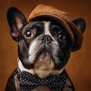 While Waiting for the Curtain Call