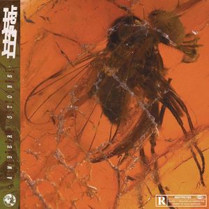 Gali Drake Rnb Type Beat 琥珀