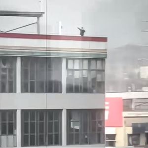 我期待风起（III remix）