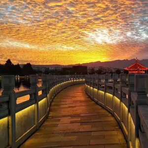 愿望的樱花（翻自 GIN）