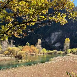 要么成功要么成长