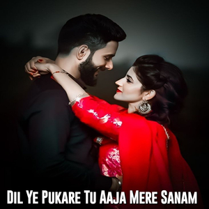 Dil Ye Pukare TU Aaja Mere Sanam