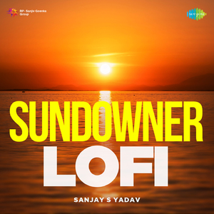 Mera Dil Tera Deewana - Lofi