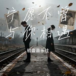 宁愿不曾与你相遇 (Cover 烟嗓超哥)