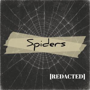 Spiders