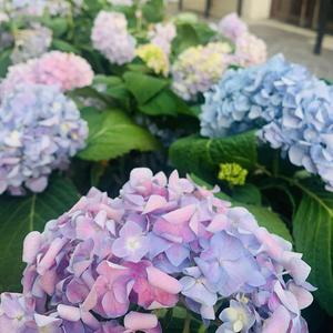 微笑的理由（Cover 梁静茹 宇珩）