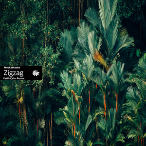 Zigzag (Fatih Çalın Remix)
