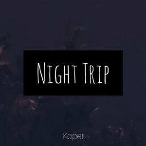 Night Trip