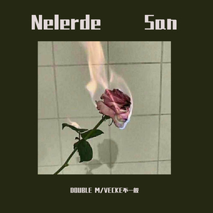 VECKE不一般-Nelerde San（Real-Life(C-R-L) / 新疆CONTROL说唱组合 / 808 GANG remix）