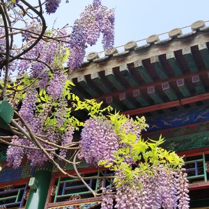 缘聚