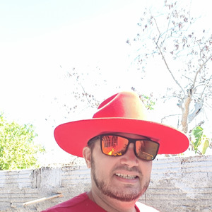 Abelhinha_
