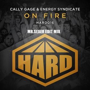 On Fire (Mr.Sexer Hard Dance Edit)
