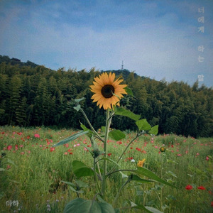 너에게 하는 말