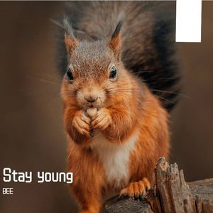 Stay Young-stay young（BEE remix）